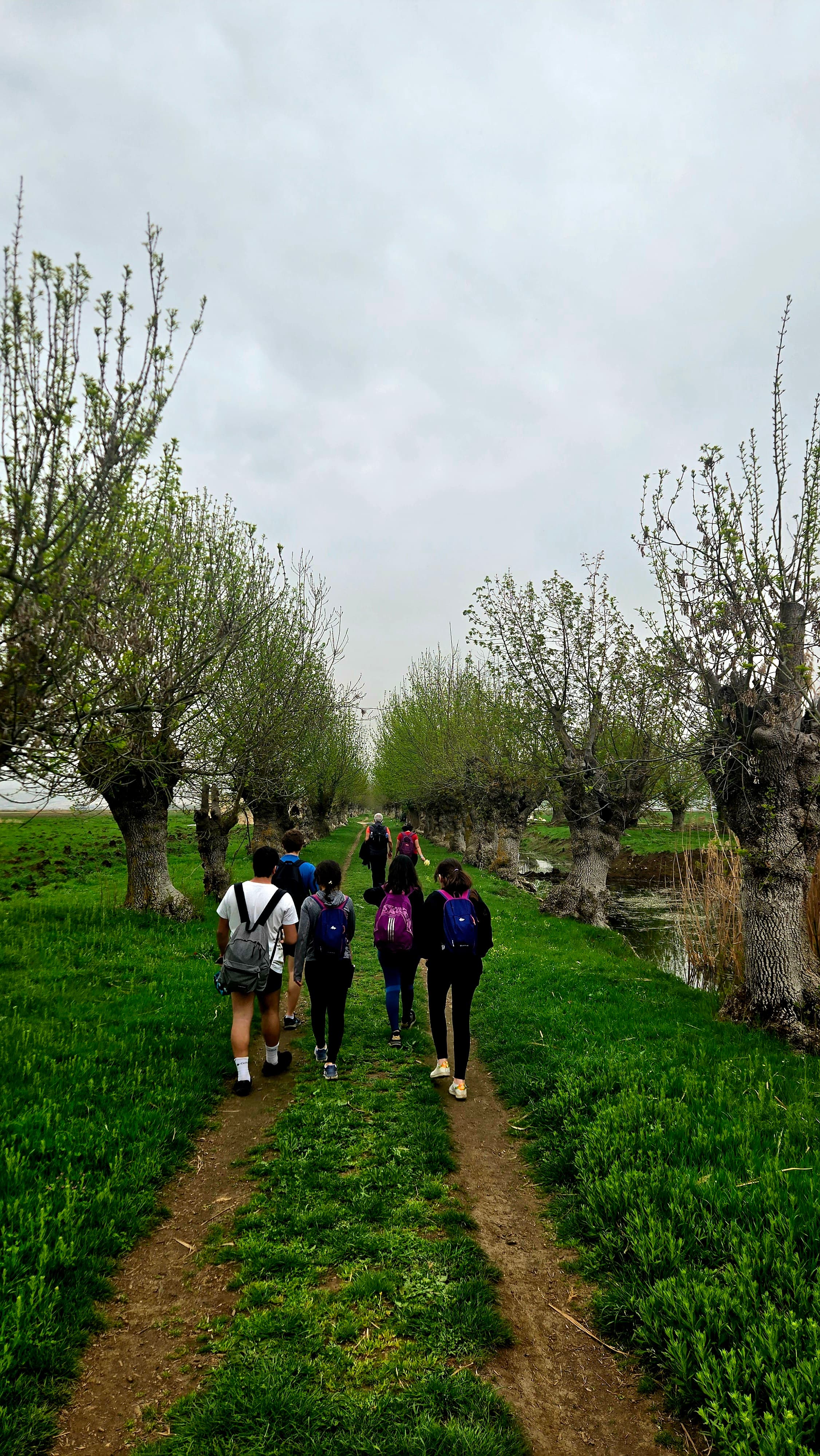 Why Hiking Is Good for Your Mind and Body