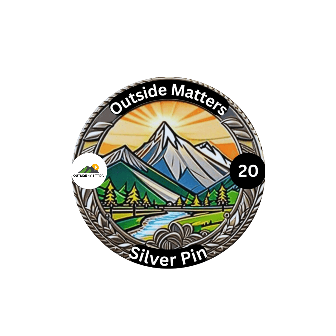 Silver Pin